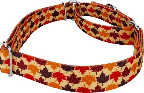 Show full view: Country Brook Petz Nature Walk Martingale Dog Collar, Large: 18 to 26-in neck, 1-in wide slide 5 of 6