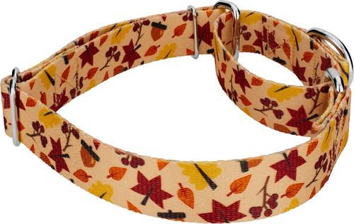 Show full view: Country Brook Petz Fall Foliage Martingale Dog Collar, Medium: 15 to 21-in neck, 1-in wide slide 4 of 5
