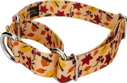 Country Brook Petz Fall Foliage Martingale Dog Collar, Large: 18 to 26-in neck, 1-in wide slide 2 of 5