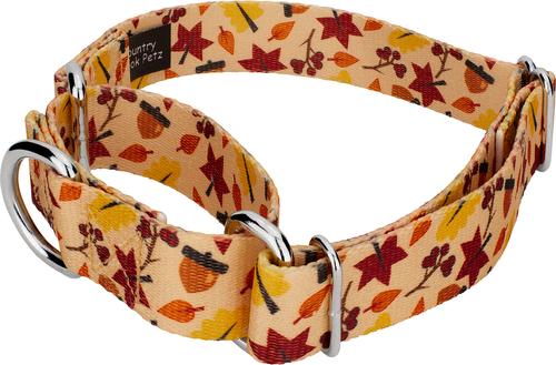 Show full view: Country Brook Petz Fall Foliage Martingale Dog Collar, Medium: 15 to 21-in neck, 1-in wide slide 3 of 5