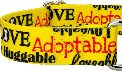 Show full view: Country Brook Petz Loveable Rescue Martingale Dog Collar, Yellow, XX-Small: 7 to 10-in neck, 1/2-in wide slide 6 of 6