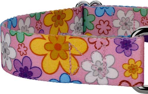 Show full view: Country Brook Petz May Flowers Martingale Dog Collar, Large: 18 to 26-in neck, 1-in wide slide 7 of 7