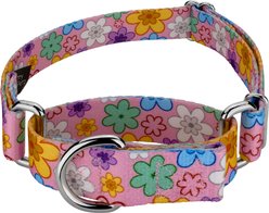Country Brook Petz May Flowers Martingale Dog Collar, Large: 18 to 26-in neck, 1-in wide