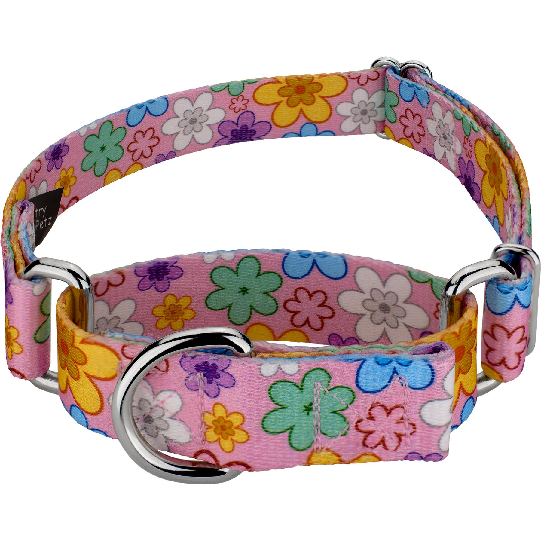 Country Brook Petz May Flowers Martingale Dog Collar, Medium: 15 to 21-in neck, 1-in wide