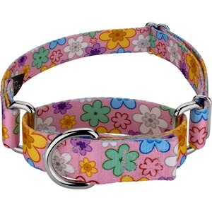Country Brook Petz May Flowers Martingale Dog Collar, Small: 11 to 15-in neck, 5/8-in wide