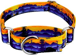 Country Brook Petz Great Outdoors Martingale Dog Collar, Medium: 15 to 21-in neck, 1-in wide