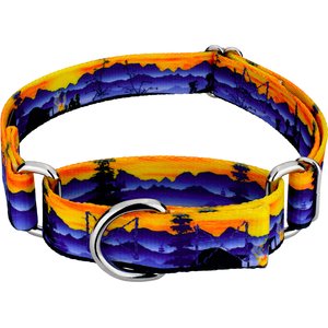 Country Brook Petz Great Outdoors Martingale Dog Collar, Small: 11 to 15-in neck, 5/8-in wide