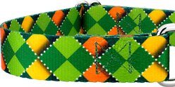 Country Brook Petz Limerick Argyle Martingale Dog Collar, Large: 18 to 26-in neck, 1-in wide slide 2 of 7