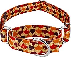 Country Brook Petz Nature Walk Martingale Dog Collar, XX-Small: 7 to 10-in neck, 1/2-in wide