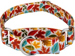 Country Brook Petz Brisk Autumn Martingale Dog Collar, Large: 18 to 26-in neck, 1-in wide