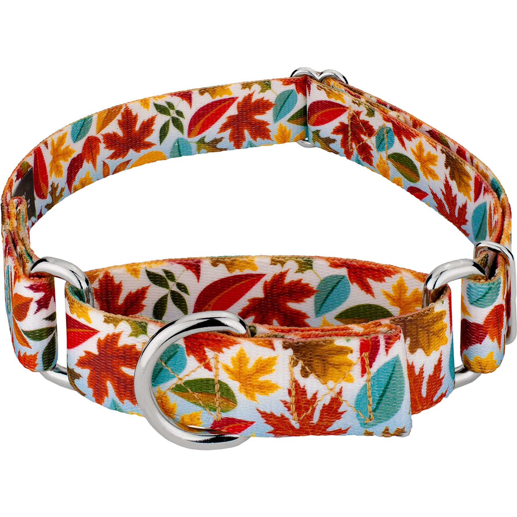 Country Brook Petz Brisk Autumn Martingale Dog Collar, XX-Small: 7 to 10-in neck, 1/2-in wide