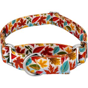 Country Brook Petz Brisk Autumn Martingale Dog Collar, Small: 11 to 15-in neck, 5/8-in wide
