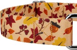 Country Brook Petz Fall Foliage Martingale Dog Collar, Medium: 15 to 21-in neck, 1-in wide slide 2 of 5