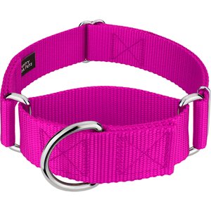 Country Brook Petz HossFit Jr Wide Training Martingale Dog Collar, Fuchsia, Medium: 15 to 21-in neck, 1.5-in wide