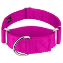 Country Brook Petz HossFit Jr Wide Training Martingale Dog Collar, Fuchsia, Medium: 15 to 21-in neck, 1.5-in wide
