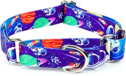 Country Brook Petz Cosmic Dreams Martingale Dog Collar, Medium: 15 to 21-in neck, 1-in wide
