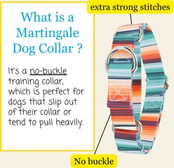 Country Brook Petz Sedona Stripes Martingale Dog Collar, Medium: 15 to 21-in neck, 1-in wide slide 2 of 8