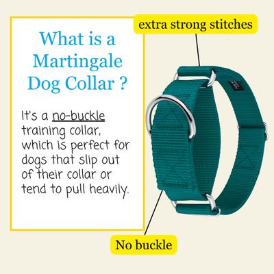 Show full view: Country Brook Petz HossFit Jr Wide Training Martingale Dog Collar, Teal, Medium: 15 to 21-in neck, 1.5-in wide slide 3 of 8