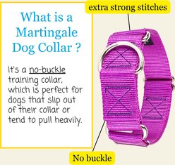 Country Brook Petz HossFit Jr Wide Training Martingale Dog Collar, Bright Purple, Medium: 15 to 21-in neck, 1.5-in wide slide 2 of 8