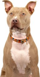 Country Brook Petz Thanksgiving Tradition Martingale Dog Collar, XX-Small: 7 to 10-in neck, 1/2-in wide slide 2 of 7