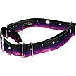 Show in main carousel: Country Brook Petz Heavenly Space Martingale Dog Collar, Small: 11 to 15-in neck, 5/8-in wide slide 3 of 5