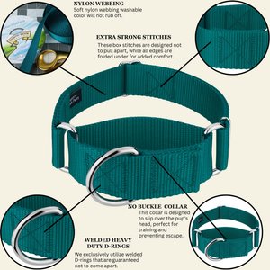 Country Brook Petz HossFit Jr Wide Training Martingale Dog Collar, Teal, Medium: 15 to 21-in neck, 1.5-in wide