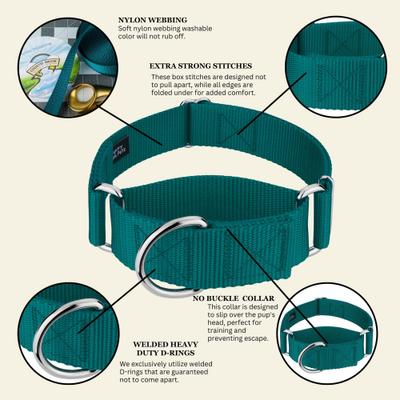 Show full view: Country Brook Petz HossFit Jr Wide Training Martingale Dog Collar, Teal, Medium: 15 to 21-in neck, 1.5-in wide slide 6 of 8