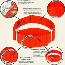 Country Brook Petz HossFit Jr Wide Training Martingale Dog Collar, Hot Orange, Medium: 15 to 21-in neck, 1.5-in wide slide 2 of 8