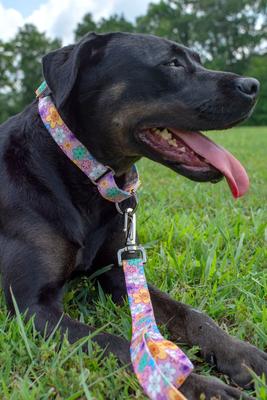 Show full view: Country Brook Petz May Flowers Martingale Dog Collar, Large: 18 to 26-in neck, 1-in wide slide 2 of 7