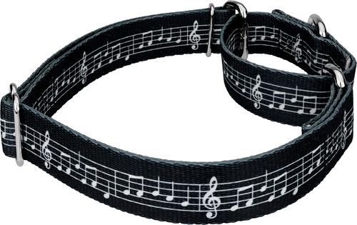 Show full view: Country Brook Petz Sheet Music Martingale Dog Collar, Small: 11 to 15-in neck, 5/8-in wide slide 5 of 6