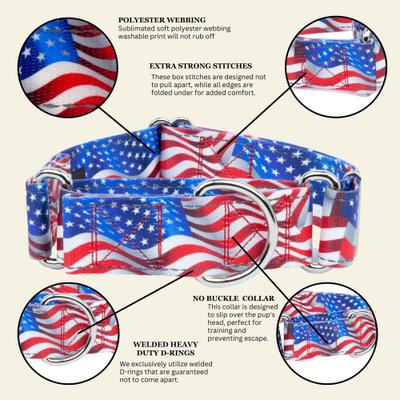 Show full view: Country Brook Petz HossFit Jr Flying Free Wide Reflective Martingale Dog Collar, Medium: 15 to 21-in neck, 1.5-in wide slide 8 of 10