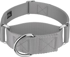 Country Brook Petz HossFit Jr Wide Training Martingale Dog Collar, Silver, Large: 18 to 26-in neck, 1.5-in wide