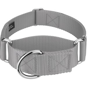 Country Brook Petz HossFit Jr Wide Training Martingale Dog Collar, Silver, Large: 18 to 26-in neck, 1.5-in wide