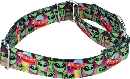 Show full view: Country Brook Petz Space Aliens Martingale Dog Collar, Large: 18 to 26-in neck, 1-in wide slide 6 of 7