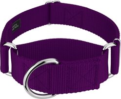 Country Brook Petz HossFit Jr Wide Training Martingale Dog Collar, Purple, Large: 18 to 26-in neck, 1.5-in wide