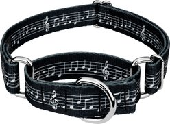 Country Brook Petz Sheet Music Martingale Dog Collar, Small: 11 to 15-in neck, 5/8-in wide