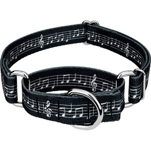 Country Brook Petz Sheet Music Martingale Dog Collar, X-Large: 23 to 31-in neck, 1-in wide