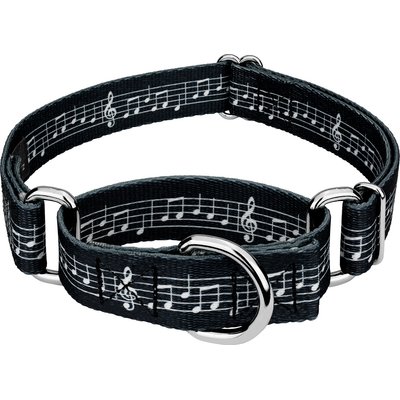 Country Brook Petz Country Brook Petz Sheet Music Martingale Dog Collar, Medium: 15 to 21-in neck, 1-in wide