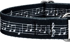 Country Brook Petz Sheet Music Martingale Dog Collar, Small: 11 to 15-in neck, 5/8-in wide slide 2 of 5