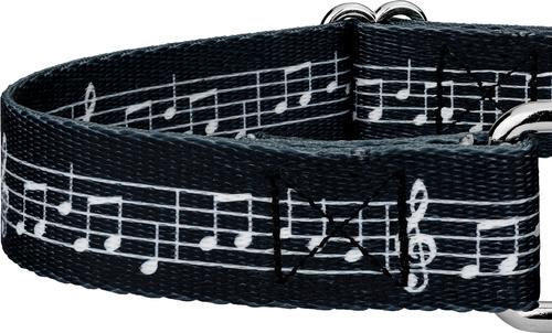 Show full view: Country Brook Petz Sheet Music Martingale Dog Collar, Small: 11 to 15-in neck, 5/8-in wide slide 6 of 6