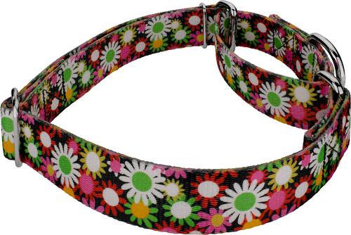 Show full view: Country Brook Petz Daisy Fields Martingale Dog Collar, Medium: 15 to 21-in neck, 1-in wide slide 6 of 7
