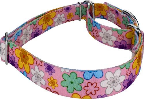 Show full view: Country Brook Petz May Flowers Martingale Dog Collar, Large: 18 to 26-in neck, 1-in wide slide 6 of 7