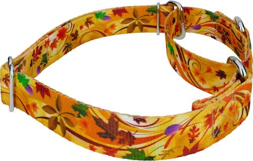 Show full view: Country Brook Petz Autumn Wind Martingale Dog Collar, Medium: 15 to 21-in neck, 1-in wide slide 4 of 5
