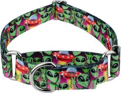 Country Brook Petz Space Aliens Martingale Dog Collar, Large: 18 to 26-in neck, 1-in wide