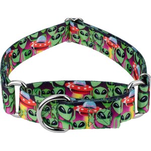 Country Brook Petz Space Aliens Martingale Dog Collar, Small: 11 to 15-in neck, 5/8-in wide