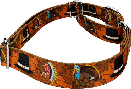 Show full view: Country Brook Petz Thanksgiving Tradition Martingale Dog Collar, X-Large: 23 to 31-in neck, 1-in wide slide 6 of 7