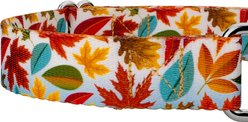 Country Brook Petz Brisk Autumn Martingale Dog Collar, XX-Small: 7 to 10-in neck, 1/2-in wide slide 2 of 5