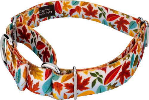 Show full view: Country Brook Petz Brisk Autumn Martingale Dog Collar, Large: 18 to 26-in neck, 1-in wide slide 3 of 5