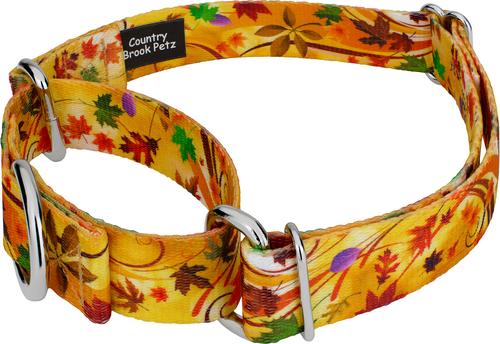 Show full view: Country Brook Petz Autumn Wind Martingale Dog Collar, Medium: 15 to 21-in neck, 1-in wide slide 3 of 5