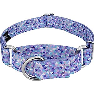 Country Brook Petz Mermaid Mosaic Martingale Dog Collar, Medium: 15 to 21-in neck, 1-in wide